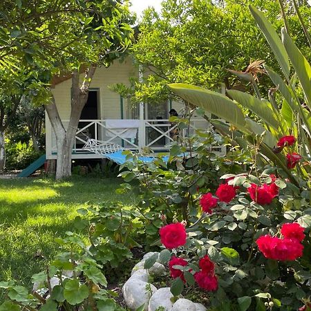 Bellerofon Beach Otel Чирали Екстер'єр фото
